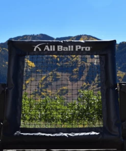 All Ball Pro The Mini Pro
