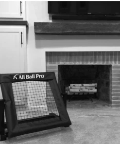 All Ball Pro The Mini Pro