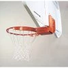 Bison Inc. Flex-Court Rear Mount Flex Basketball Goal Basketball Rims