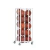 Basketball Ball Storage Cages And Racks Champion Sports 20 Ball Deluxe Vertical Basketball Cage 1 Basketball Ball Storage Cages And Racks Champion Sports 20 Ball Deluxe Vertical Basketball Cage