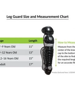 Baseball Leg Guards Champion Sports Adult Double Knee Baseball Leg Guard