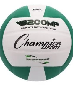Champion Sports Composite Volleyball