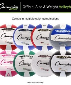 Champion Sports Composite Volleyball