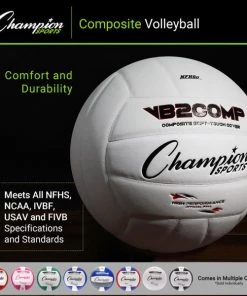 Champion Sports Composite Volleyball Gray/Blue/White Volleyball Player Equipment