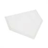 Champion Sports Waffle Bottom Home Plate Bases & Plates