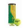 Athletic Connection Tennis Dunlop® Championship Hard Court Tennis Balls (3-Pack)
