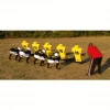 Fisher Brute 2 Youth Football Blocking Sled - 2 Man Blocking Sleds
