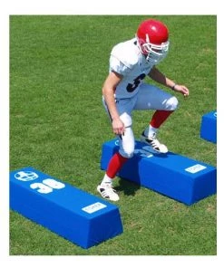 Blocking Dummies Fisher Dual Step Agility Dummies