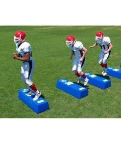 Blocking Dummies Fisher Dual Step Agility Dummies